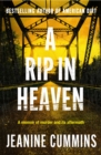 A Rip in Heaven - eBook