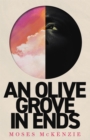 An Olive Grove in Ends : The dazzling debut novel about love, faith and community, by an electrifying new voice - Book