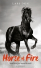 Horse of Fire : and other stories from around the world - Book
