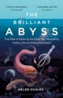 The Brilliant Abyss : True Tales of Exploring the Deep Sea, Discovering Hidden Life and Selling the Seabed - Book