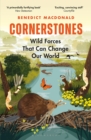 Cornerstones : Wild Forces That Can Change Our World - eBook