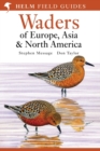 Field Guide to Waders of Europe, Asia and North America - eBook
