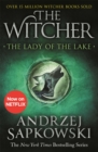 The Lady of the Lake : Witcher 5 – Now a major Netflix show - Book