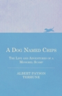A Dog Named Chips - The Life and Adventures of a Mongrel Scamp - eBook