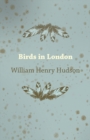 Birds in London - eBook