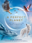 A Perfect Planet - eBook
