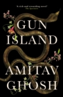Gun Island : A spellbinding, globe-trotting novel by the bestselling author of the Ibis trilogy - eBook