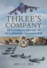 Three's Company : An illustrated History of No. 3 (Fighter) Squadrom RAF - eBook