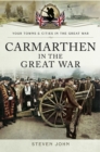 Carmarthen in the Great War - eBook