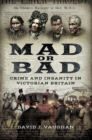 Mad or Bad : Crime and Insanity in Victorian Britain - eBook