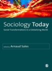 Sociology Today : Social Transformations in a Globalizing World - eBook