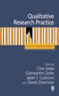Qualitative Research Practice : Concise Paperback Edition - eBook