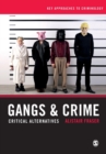 Gangs & Crime : Critical Alternatives - Book