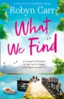 What We Find - eBook