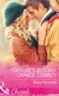 The Fortune's Second-Chance Cowboy - eBook