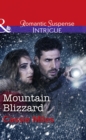 Mountain Blizzard - eBook