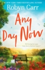 Any Day Now - eBook
