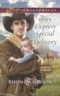 Pony Express Special Delivery - eBook