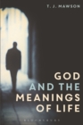 God and the Meanings of Life : What God Could and Couldn't Do to Make Our Lives More Meaningful - eBook