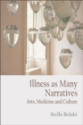 Illness as Many Narratives : Arts, Medicine and Culture - eBook