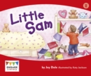 Little Sam - eBook