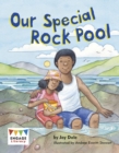 Our Special Rock Pool - eBook