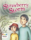 Strawberry Storm - eBook