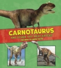 Dinosaur Fact Dig Pack B of 4 - Book