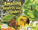 Amazing Insects and Spiders - Book