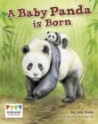 A Baby Panda is Born - Book