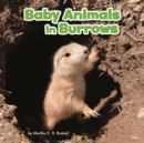 Baby Animals in Burrows - Book