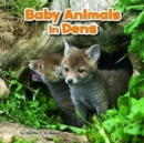 Baby Animals in Dens - Book