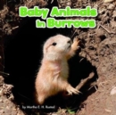 Baby Animals in Burrows - Book