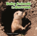 Baby Animals in Burrows - eBook