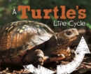 A Turtle's Life Cycle - Book