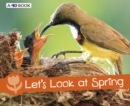 Let's Look at Spring - Book