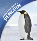 A Day in the Life of a Penguin - eBook