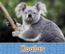 Koalas - Book