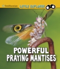 Powerful Praying Mantises - eBook