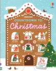 Countdown to Christmas - Book