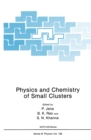 Physics and Chemistry of Small Clusters - eBook