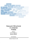 Vacuum Structure in Intense Fields - eBook