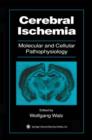 Cerebral Ischemia : Molecular and Cellular Pathophysiology - Book
