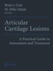 Articular Cartilage Lesions : A Practical Guide to Assessment and Treatment - Book