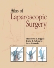 Atlas of Laparoscopic Surgery - eBook