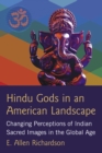 Hindu Gods in an American Landscape : Changing Perceptions of Indian Sacred Images in the Global Age - eBook