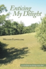 Enticing My Delight - eBook