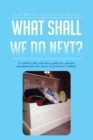 What Shall We Do Next? : A Creative Play and Story Guide for Parents, Grandparents and Carers of Preschool Children - eBook