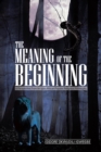 The Meaning of the Beginning : A Perspective from an Igbo-African Popular Religious Philosophy - eBook