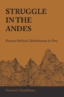 Struggle in the Andes : Peasant Political Mobilization in Peru - Book